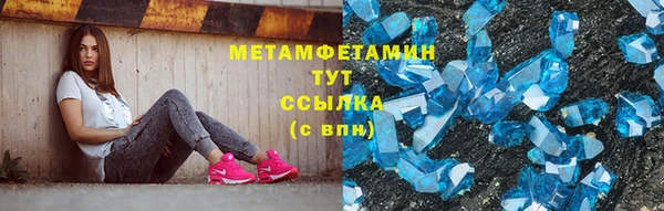 прущие грибы Тавда