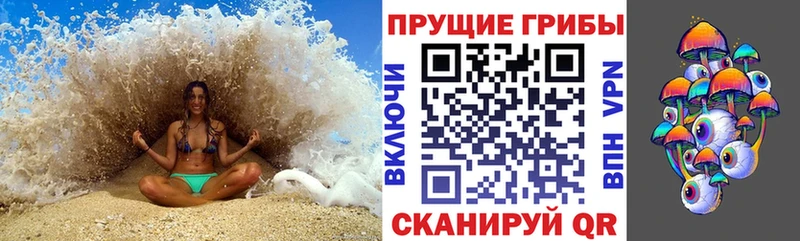 Псилоцибиновые грибы Psilocybine cubensis  Кызыл 
